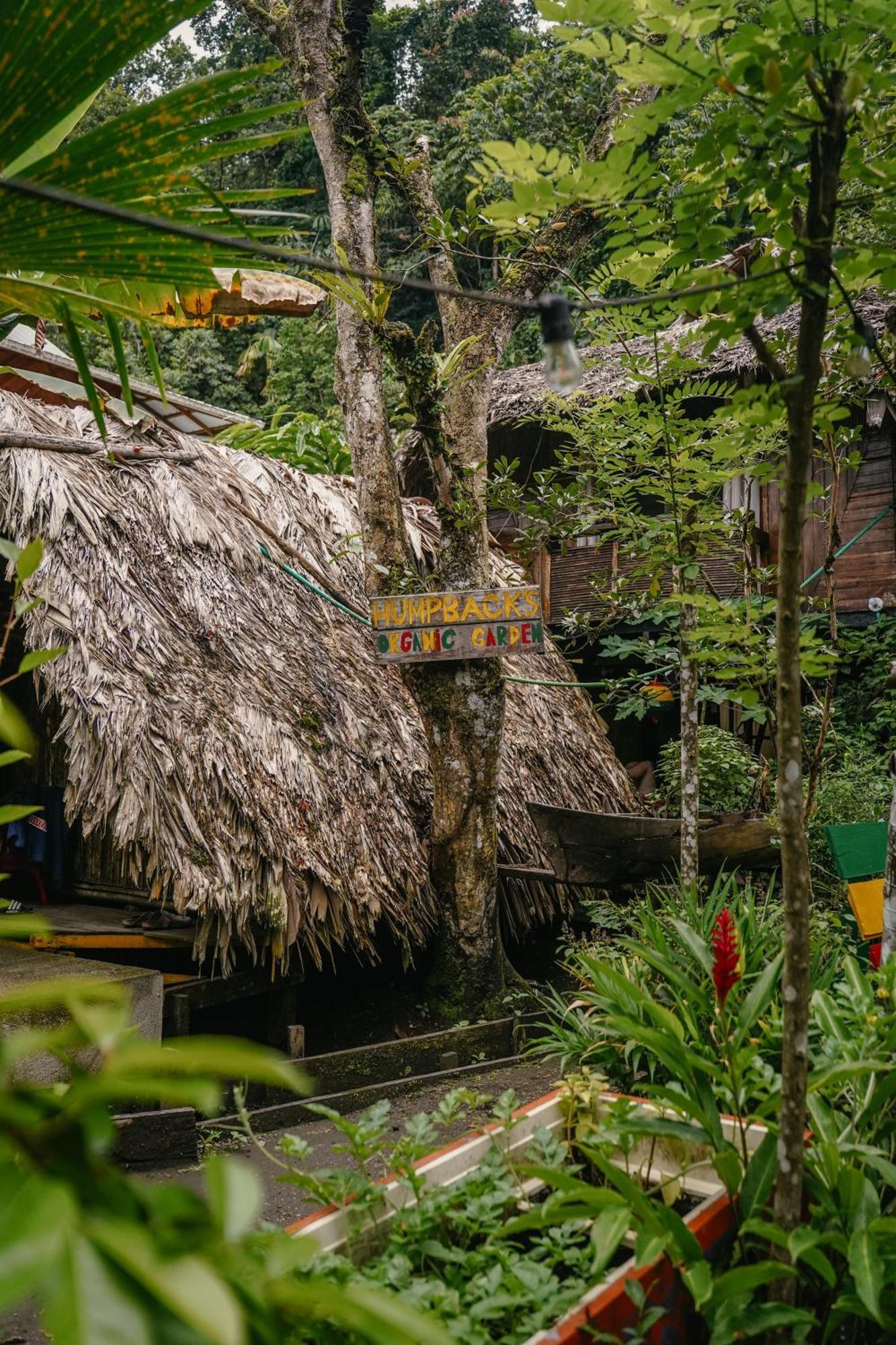 Hotel The Humpback Turtle El Valle  Exterior foto