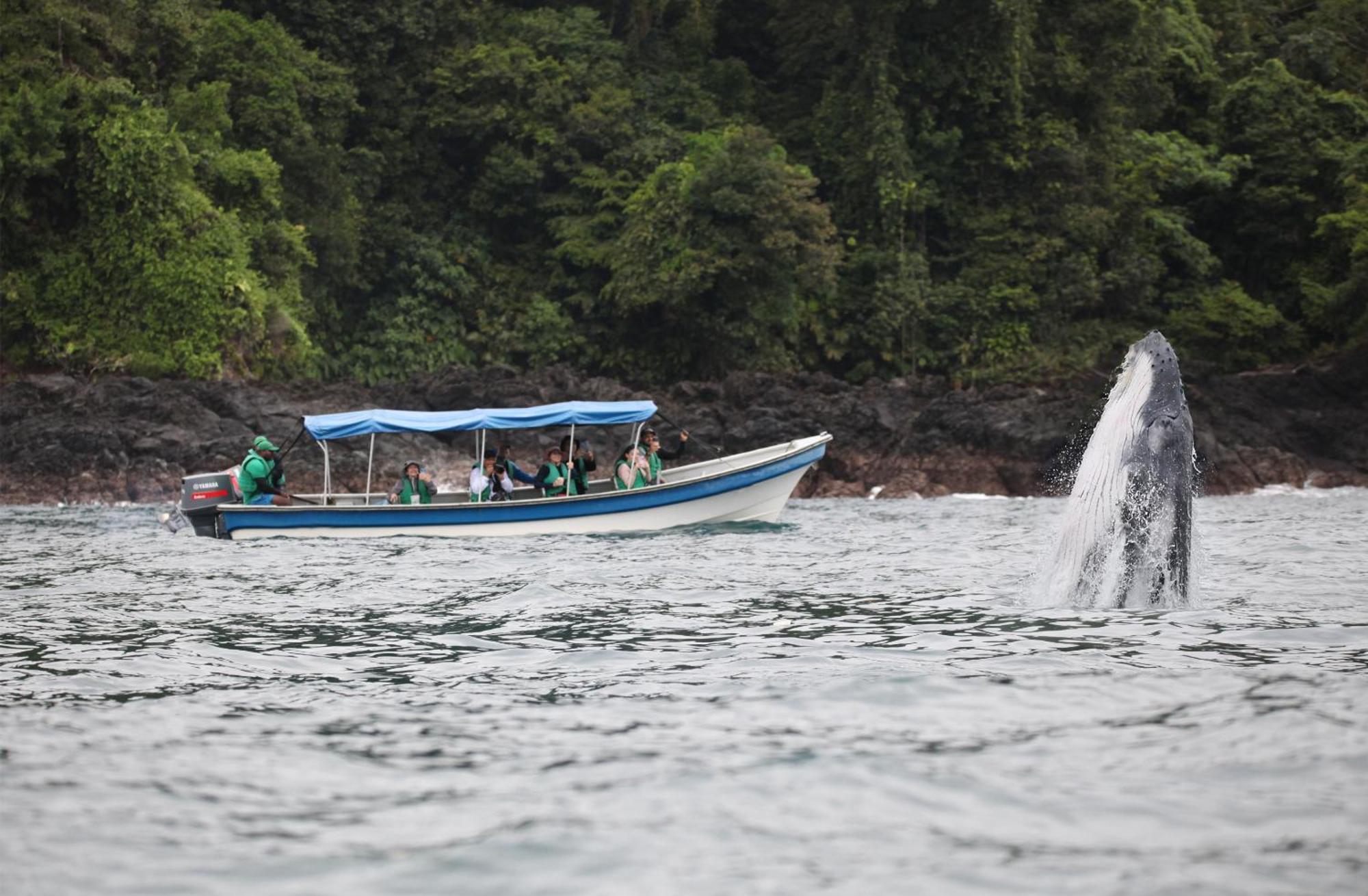 Hotel The Humpback Turtle El Valle  Exterior foto