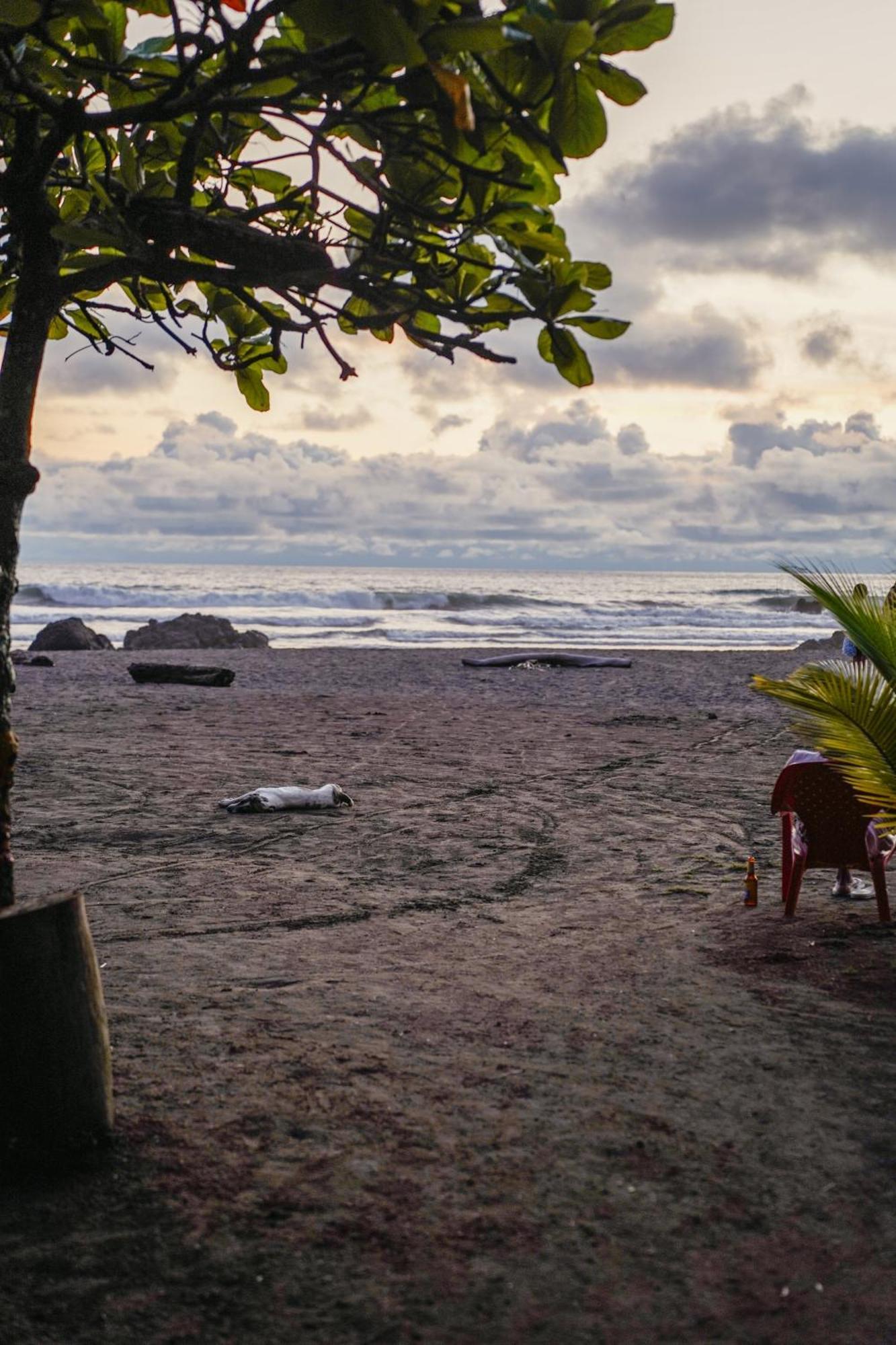 Hotel The Humpback Turtle El Valle  Exterior foto