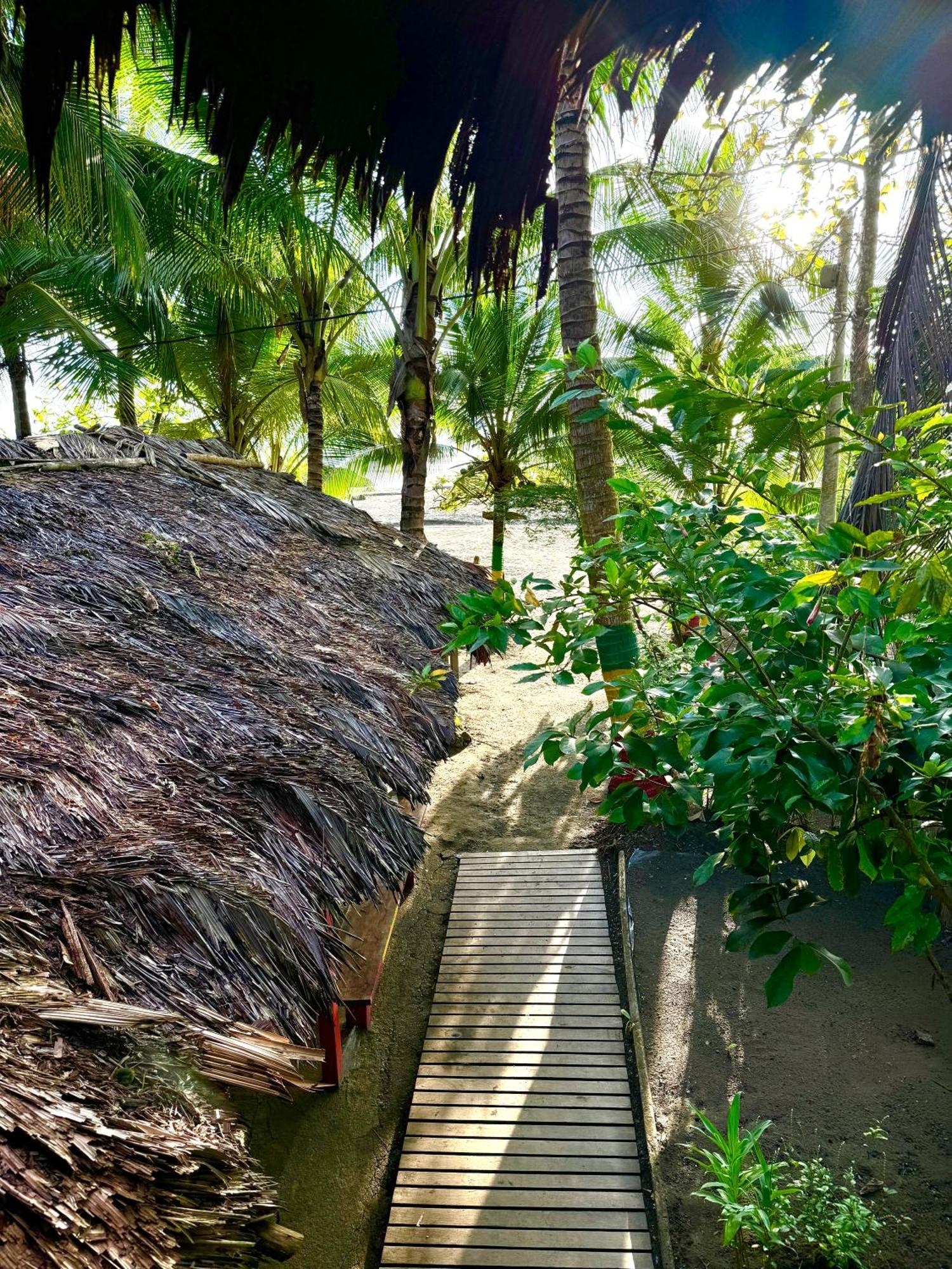 Hotel The Humpback Turtle El Valle  Exterior foto